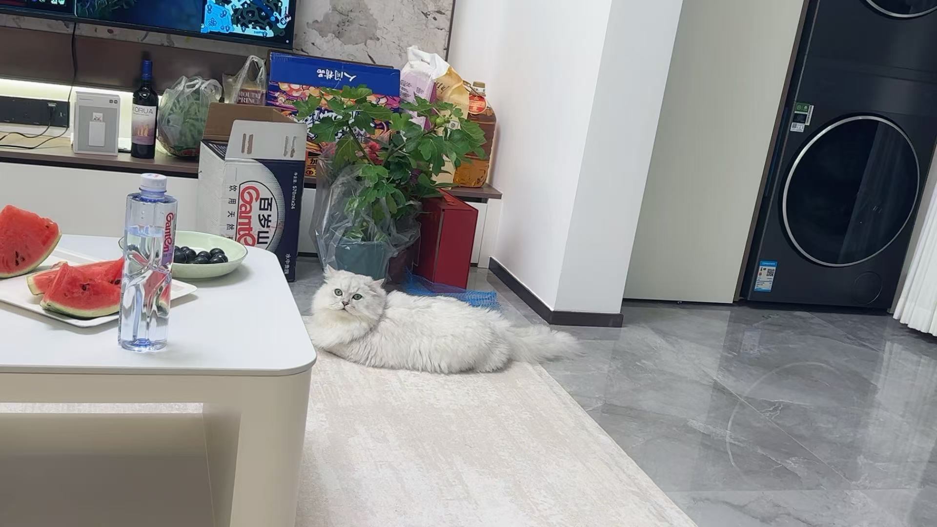 你想活出怎样的人生